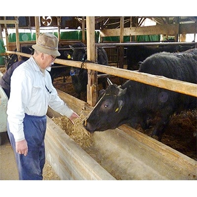 ≪贈り物ギフト包装・無地のし対応≫オリーブ牛 赤身焼肉 500g