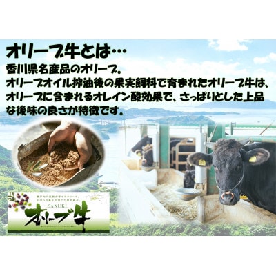 ≪贈り物ギフト包装・無地のし対応≫オリーブ牛 赤身焼肉 500g