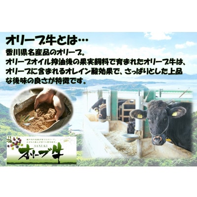 《生活応援》オリーブ牛ロース焼肉用500g