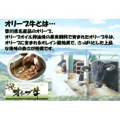 ギフト用・オリーブ牛　赤身焼肉用　500g