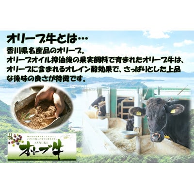 ≪生活応援≫オリーブ牛ロースすき焼き用1000g