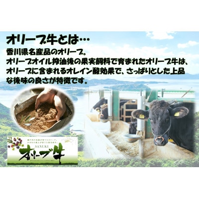 《生活応援・小分け》オリーブ牛　切り落とし　2000g