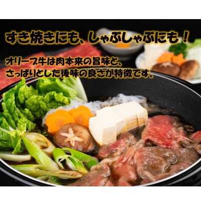 《小分け》オリーブ牛　切り落とし10kg