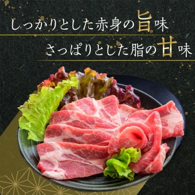 オリーブ豚　ロース焼肉用　2000g