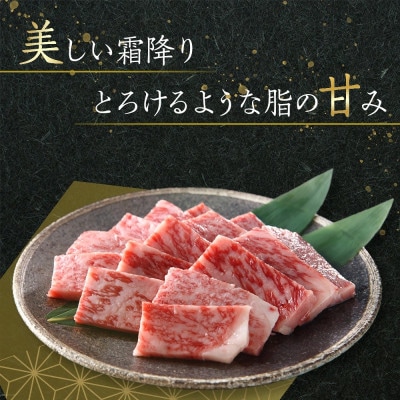 オリーブ牛　焼肉二種食べ比べセットA　1000g