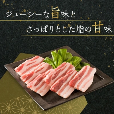 オリーブ豚　バラ焼肉用　2000g