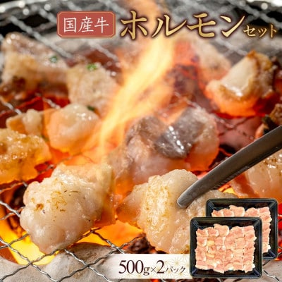 国産牛　ホルモンセット　1000g