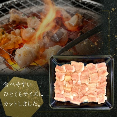 国産牛　ホルモンセット　1000g