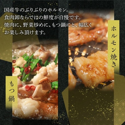 国産牛　ホルモンセット　1000g