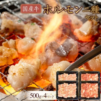 国産牛　ホルモン二種セット　2000g