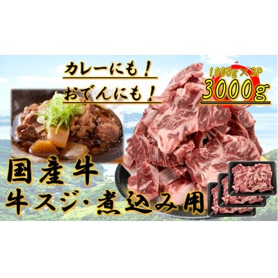 国産牛　スジ　3kg