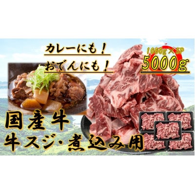 国産牛　スジ　5kg