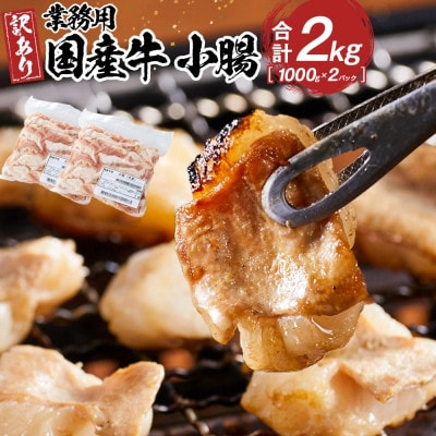 《業務用・訳アリ》国産牛　小腸　2kg