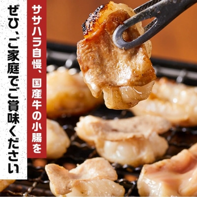 《業務用・訳アリ》国産牛　小腸　2kg