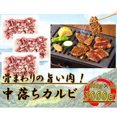 中落ちカルビ　3000g