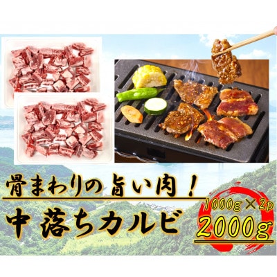 中落ちカルビ　2000g