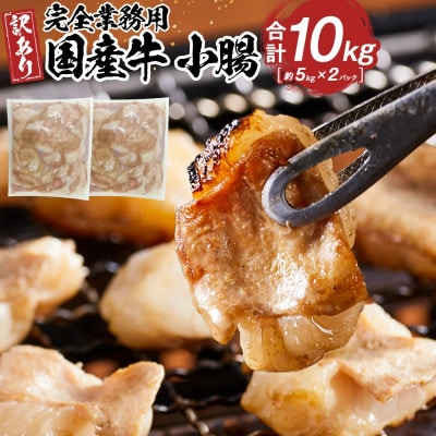 《完全業務用》国産牛　小腸　10kg