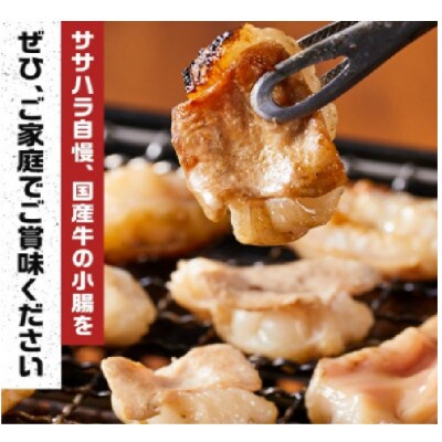 《完全業務用》国産牛　小腸　10kg