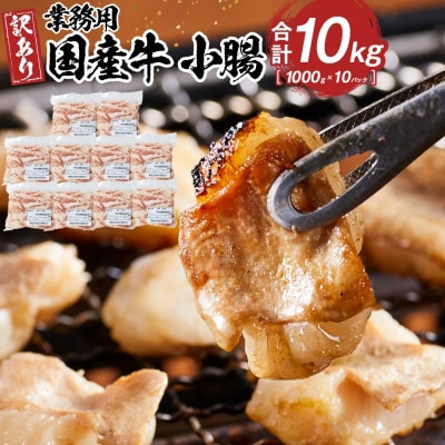 《業務用・訳アリ》国産牛　小腸　10kg