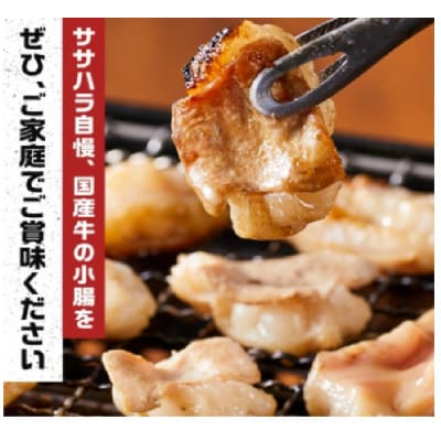 《業務用・訳アリ》国産牛　小腸　10kg