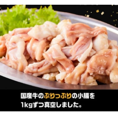 《業務用・訳アリ》国産牛　小腸　10kg