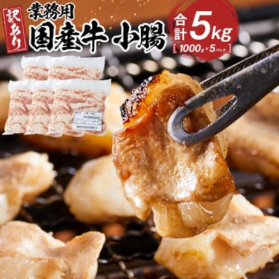 《業務用・訳アリ》国産牛　小腸　5kg