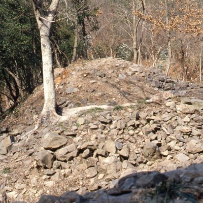 文化財専門員と行く!屋嶋城(浦生地区)ガイド見学ツアー