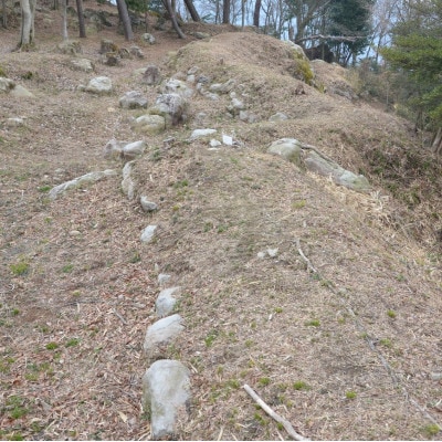 文化財専門員と行く!勝賀城ガイド見学ツアー