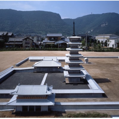 文化財専門員と行く!讃岐国分寺跡ガイド見学ツアー