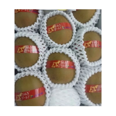 【造田商店】さぬきゴールドキウイ【黄様】7～9個入り 約1.2kg×1箱【化粧箱入り】