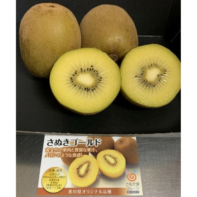 さぬきゴールドキウイ「黄様」大玉16個入り