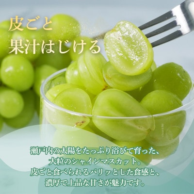 【農家直送】香川県産シャインマスカット「讃シャイン」3～5房(2kg以上)
