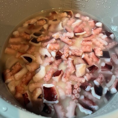 イカタコ飯　2個セット