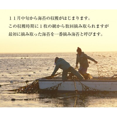 有明海苔 一番摘み 焼き海苔 　全形10枚入×5袋(糸田町)