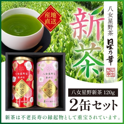 新茶　八女星野茶　120g×2本(糸田町)