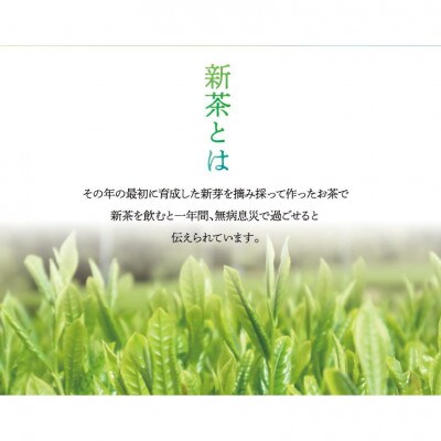 新茶　八女星野茶　120g×2本(糸田町)