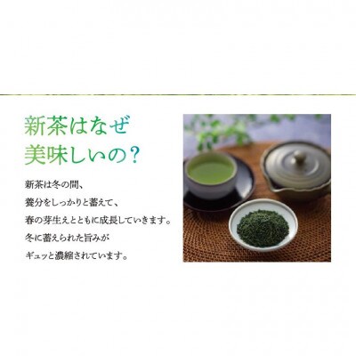新茶　八女星野茶　120g×2本(糸田町)