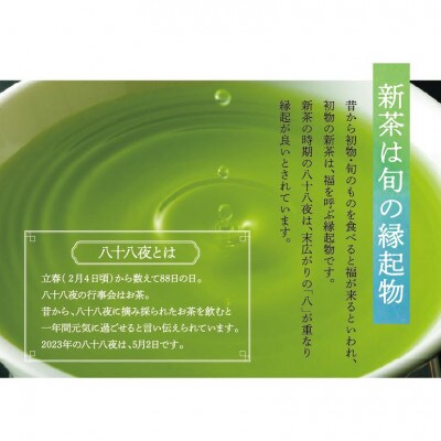 新茶　八女星野茶　120g×2本(糸田町)