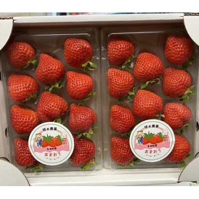 福岡県産 あまおう 2パック(合計約500g)