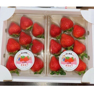福岡県産 あまおう 2パック(合計約500g)