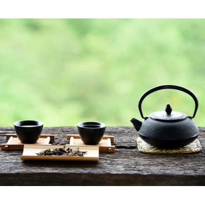 八女茶【特上】煎茶セット　100g×2袋(糸田町)