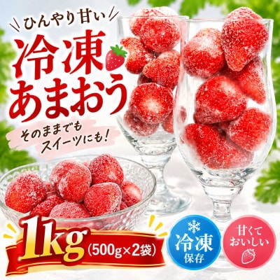 フローズンいちご～氷彩あまおう～ 1kg(500g×2袋)(糸田町)