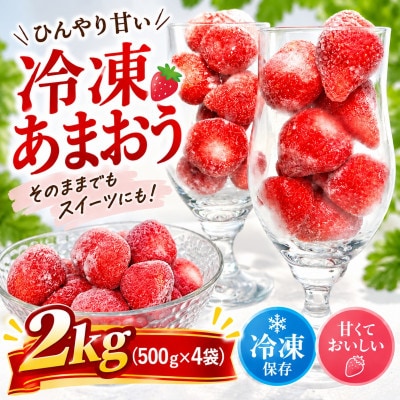 フローズンいちご～氷彩あまおう～ 2kg(500g×4袋)(糸田町)