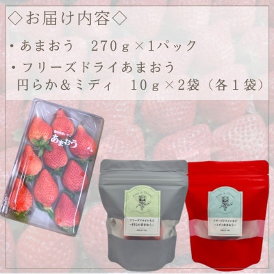 あまおう食べ比べセット【生いちご&フリーズドライ】(糸田町)