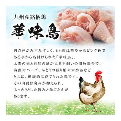 博多華味鳥 水たきセット 6～8人前(糸田町)