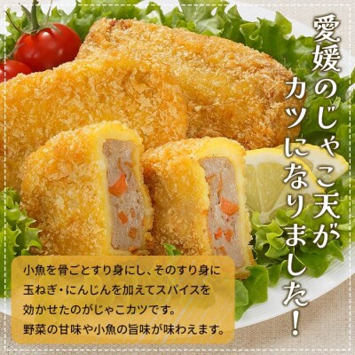 <おがた蒲鉾　じゃこカツ小判(未加熱)5個入り×2袋>　じゃこ天　ソウルフード　おつまみ　郷土料理