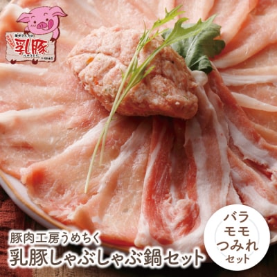寄附額改定↓↓ 乳豚しゃぶしゃぶ鍋Bセット(バラ・モモ・つみれ)