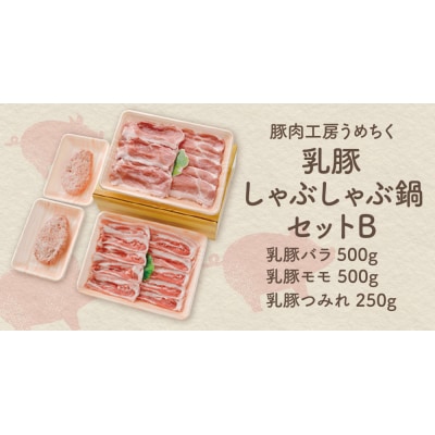 寄附額改定↓↓ 乳豚しゃぶしゃぶ鍋Bセット(バラ・モモ・つみれ)