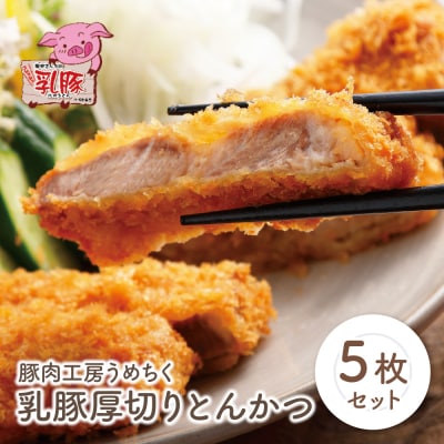寄附額改定↓↓ 乳豚厚切りとんかつ5枚