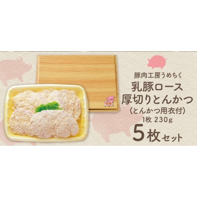 寄附額改定↓↓ 乳豚厚切りとんかつ5枚